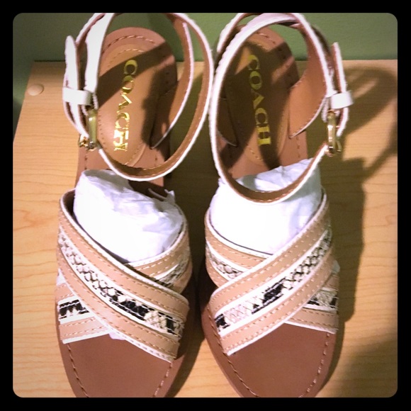 💯 NWOB Coach Lennon shoes - Picture 1 of 4